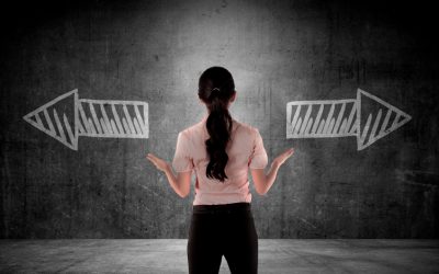 Choosing between Transana Basic and Transana Professional